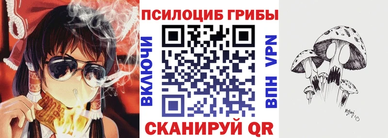 Галлюциногенные грибы ЛСД  Купить где  Каргат 